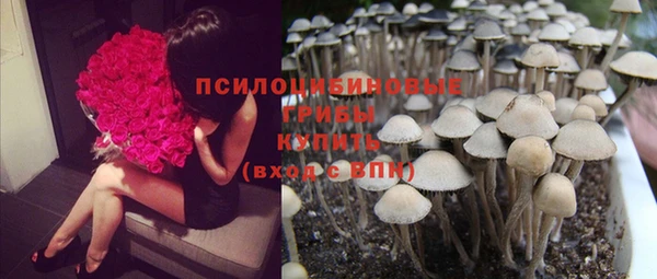 spice Ряжск